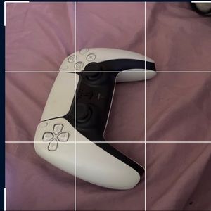 Ps5 white controller